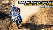 Watch Two Triumph Tigers Race the Mexican 1000 - ICON Raiden 