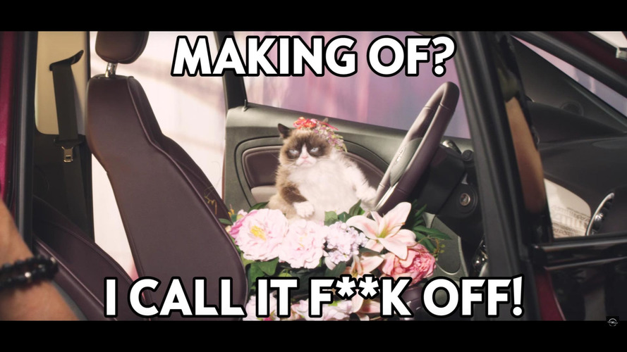 Opel Grumpy Cat Calendar