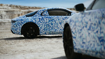 Alpine teaser