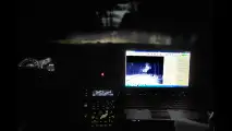 Volvo, test per evitare incidenti con animali