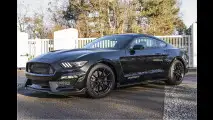 Der Mega-Mustang kommt zu uns