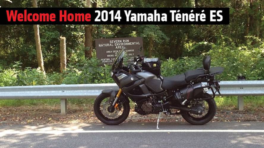 Welcome Home 2014 Yamaha Ténéré ES