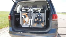 Hund im Auto: Eine Box für den Kofferraum von Trixie (ab 255 Euro)