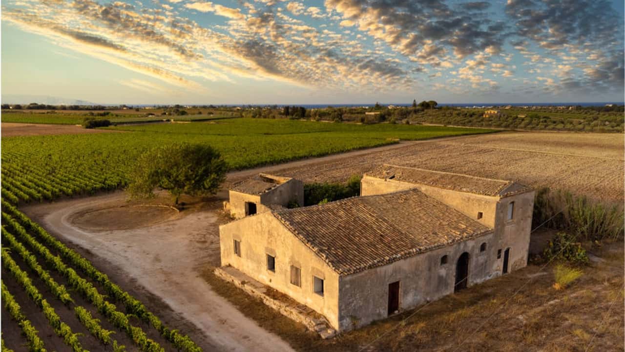 Fabbricato agricolo funzionale è pertinenza