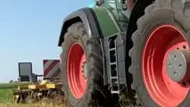 Alliance Agri Star II: 6 mesi con Giulia Tonello