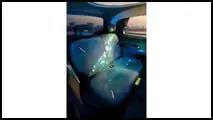 Renault Twingo E-Tech Electric (2026): Das Interieur
