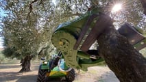 Foto - Sicma: ad Agrilevante le semoventi per la raccolta-olive