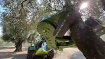 Foto - Sicma: ad Agrilevante le semoventi per la raccolta-olive