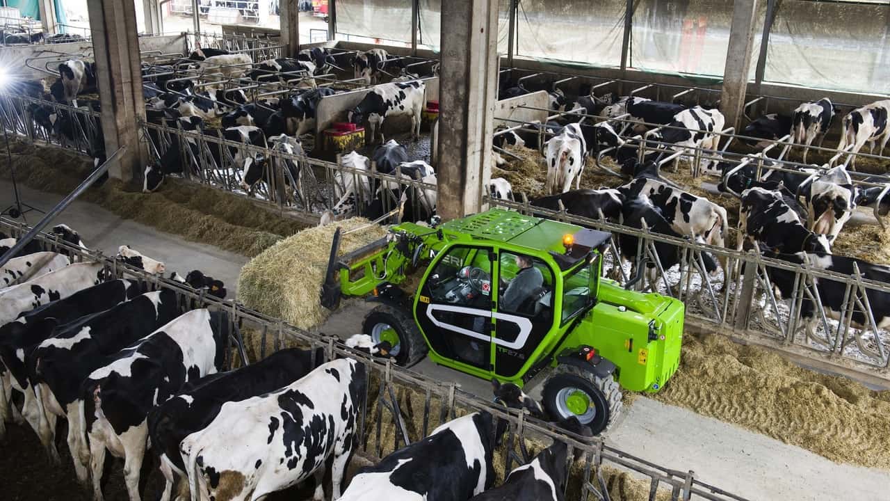 Merlo TF27.6: il sollevatore telescopico TurboFarmer più compatto
