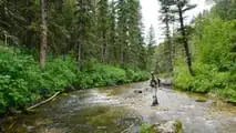 Stark Varg and Two Fly Rods