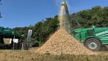 FUTA EXPO 2025: a Barberino di Mugello debutta il grande evento delle tecnologie forestali