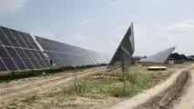 Bobcat in campo nel Delta del Po: i mezzi protagonisti di un maxi impianto agro-fotovoltaico a Loreo