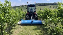 Nobili: rincia pacciamatrice SDS 152 a 