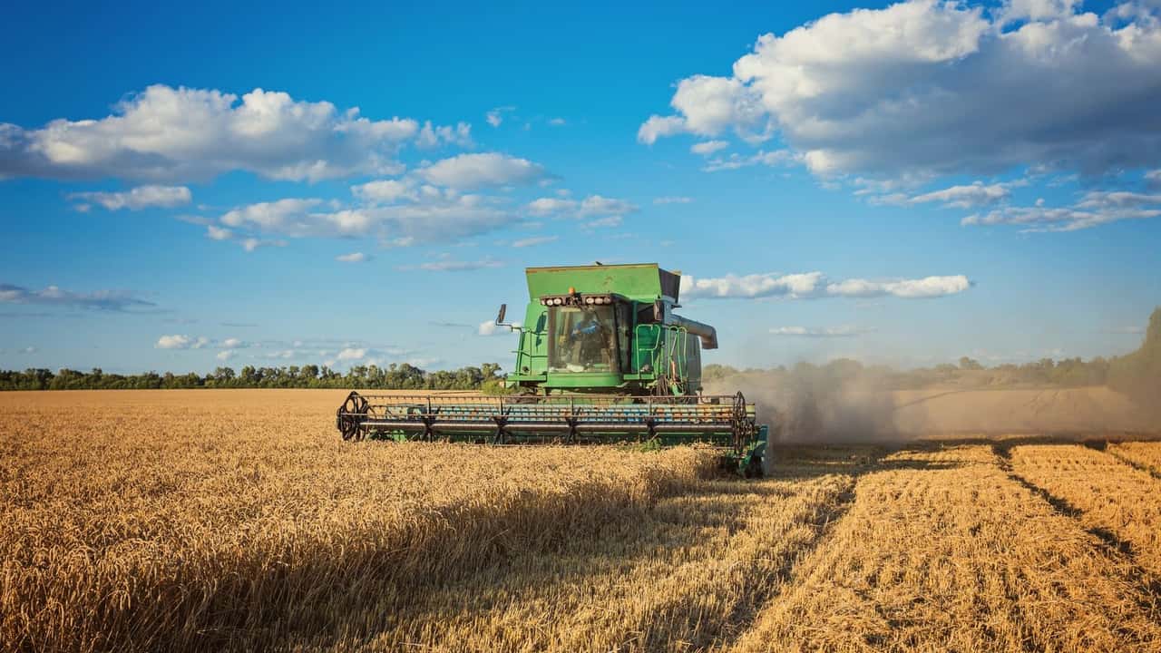 Economia agricola in ripresa: +0,3% nel primo trimestre 2025. Bene industria e agricoltura, servizi fermi