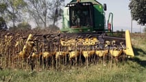 Testata girasole Fantini G03: ad Agritechnica 2025
