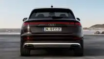 Audi Q8 TFSI e quattro (2024)