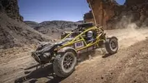 Ariel Nomad