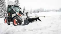 Bobcat Neve