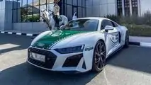Carro de polícia