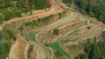 Acquisto terreni agricoli montani: paletti per le società