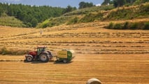 Dal 1° luglio più facile la cassa integrazione per caldo in agricoltura: basta mezza giornata di sospensione, ma il budget si riduce a 10 milioni