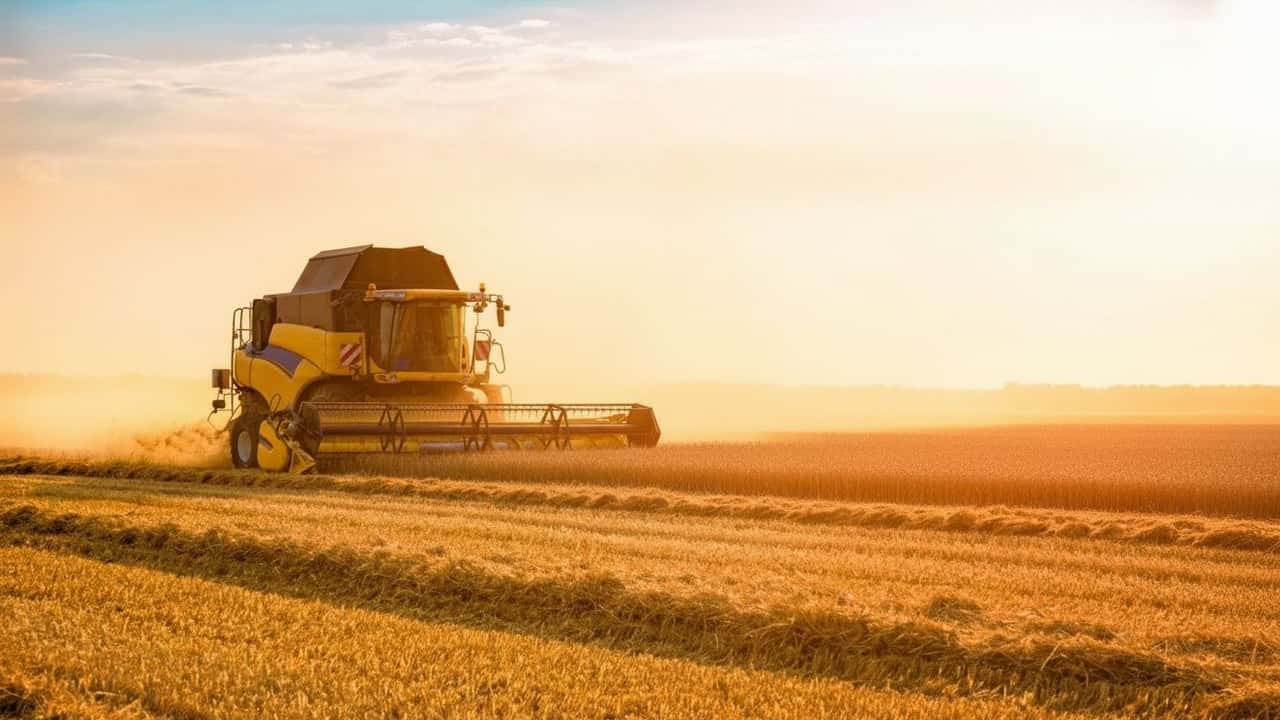 caldo-record-2026-raccolti-cereali-a-rischio-danni-mod-mrypc5uz