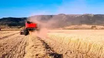 Incendio mietitrebbia in campo di grano: tutte le cause da conoscere