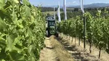 Enovitis in Campo 2026: tutte le novità tra i filari del Chianti