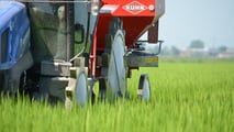 Società semplice agricola: chi risponde per la sicurezza?