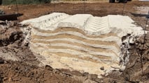 Alliance Field Day: gomme e consumi in campo