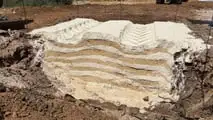 Alliance Field Day: gomme e consumi in campo