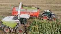 Come ribilanciare frumento, sorgo e mais nei piani foraggeri