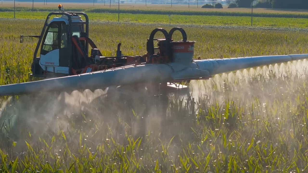 Strategie pratiche per pianificare monitoraggio, mezzi biologici, regolazioni dell’irroratrice e registrazione dei trattamenti contro la piralide del mais nel 2026
