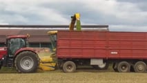 Costi di raccolta e insilamento del triticale nel 2026