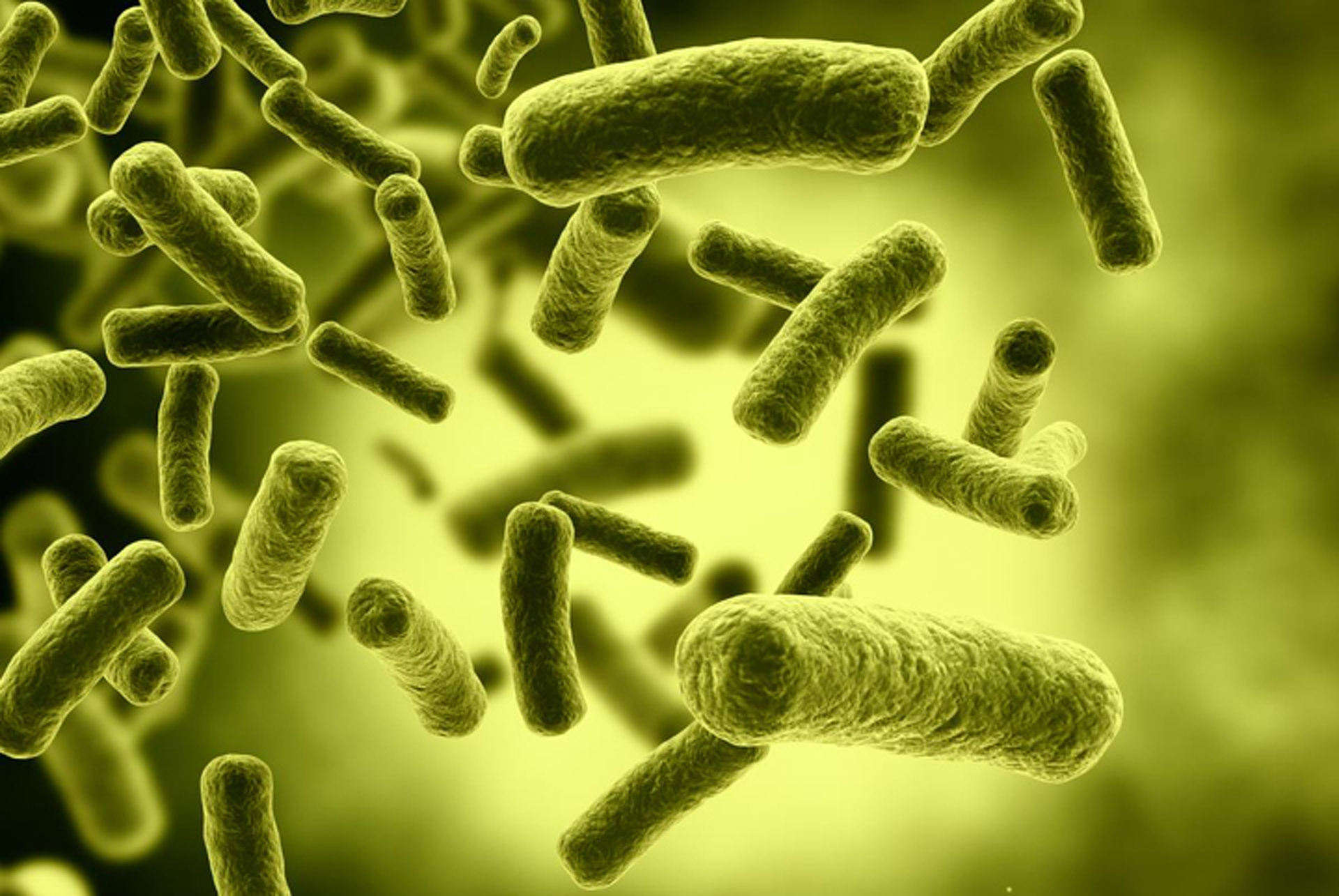 Why Gas Pumps Spread Disease More than Anything Else