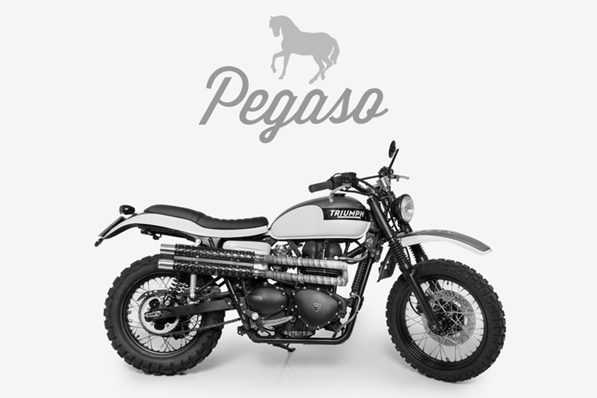 video pegaso video pegaso