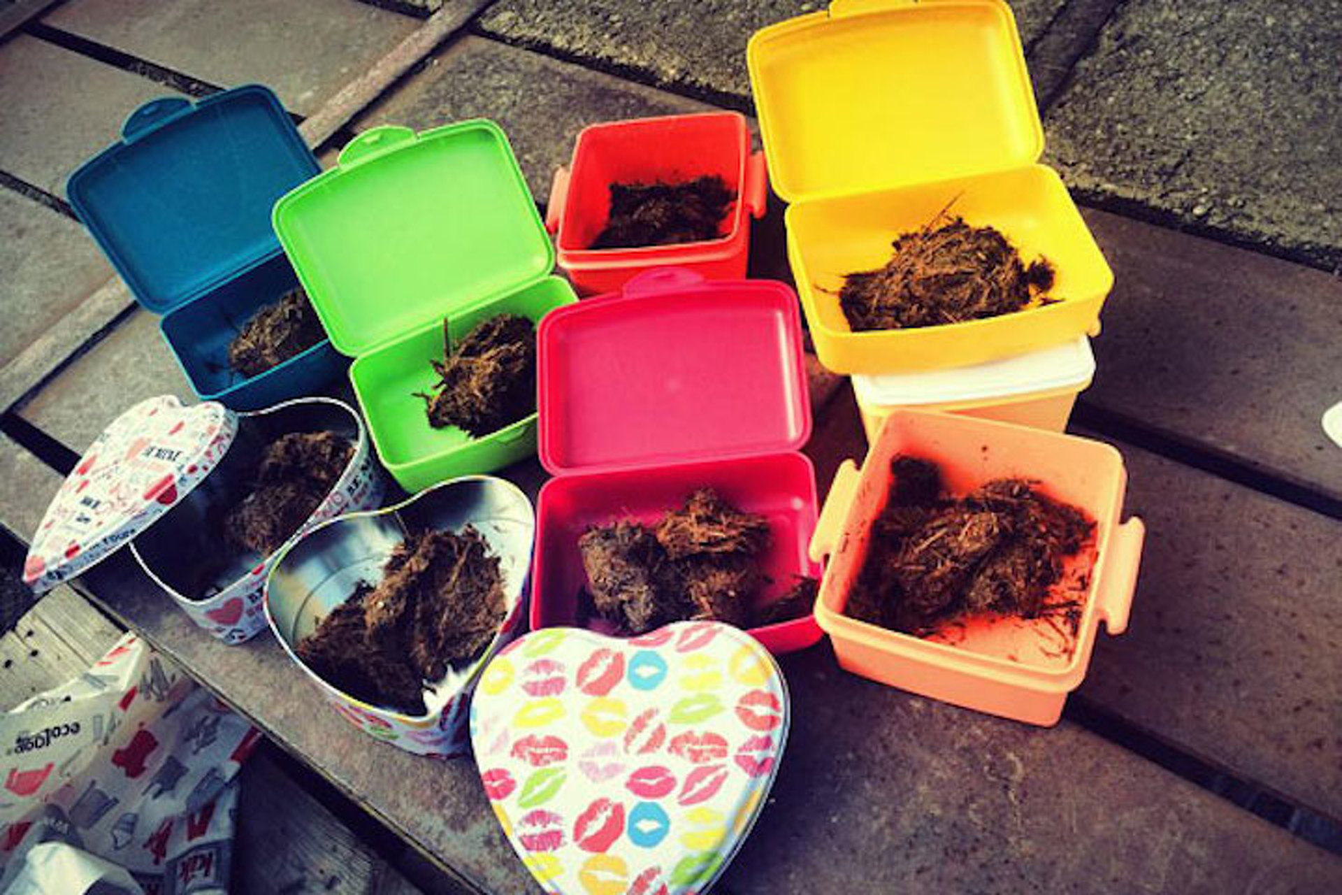 You Can Send a Dump Truck Full of Poop to Anyone Using Bitcoin