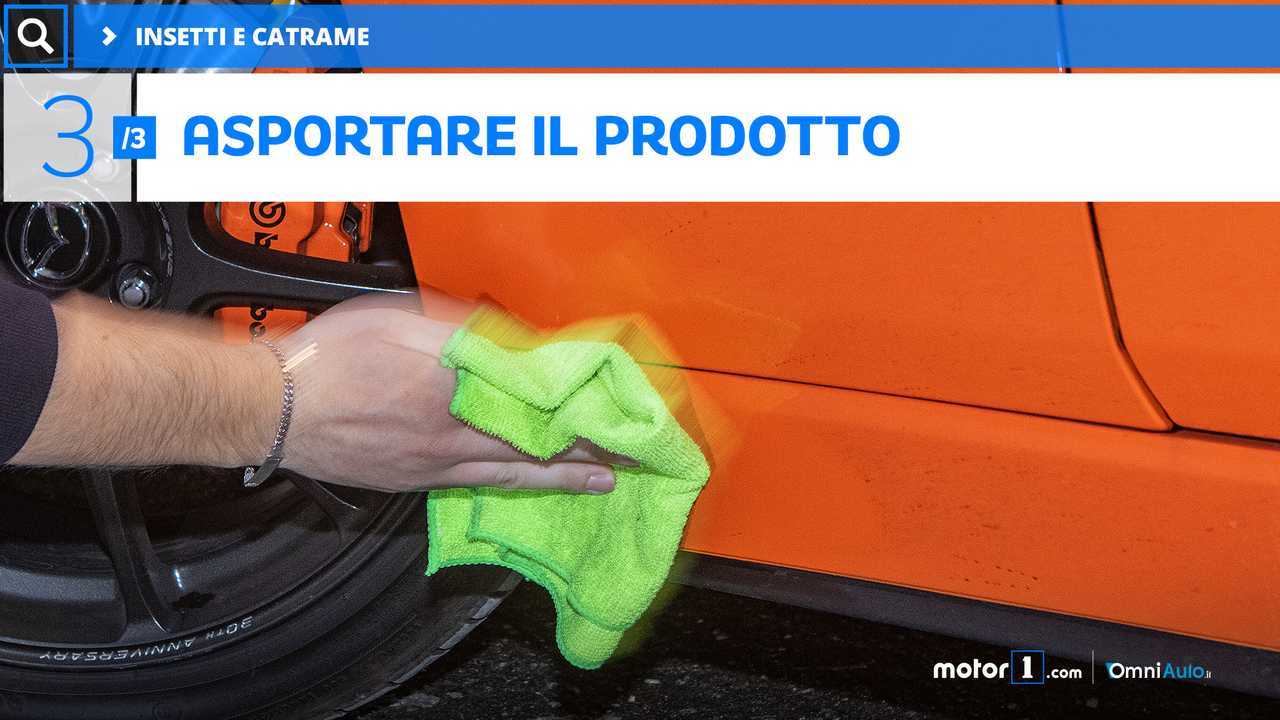 Il catrame e gli insetti