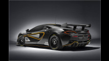 Für den Track: McLaren 570S GT4
