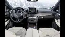 Bergpassziege und Autobahnelefant