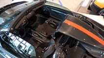Pagani Tesis Turu