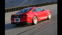 Shelby GT 2015