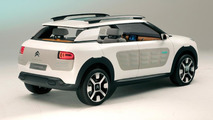 Citroen Cactus concept 05.09.2013