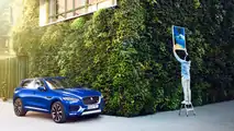 Jaguar F-Pace Dingo