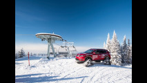 Nissan Rogue Warrior
