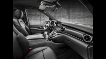 Mercedes V AMG Line