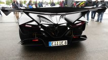 Apollo Intensa Emozione