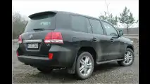Japanischer Kraxler