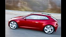 Spanien-SUV: Seat IBX