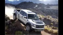 Schlangenhaut-Pick-up
